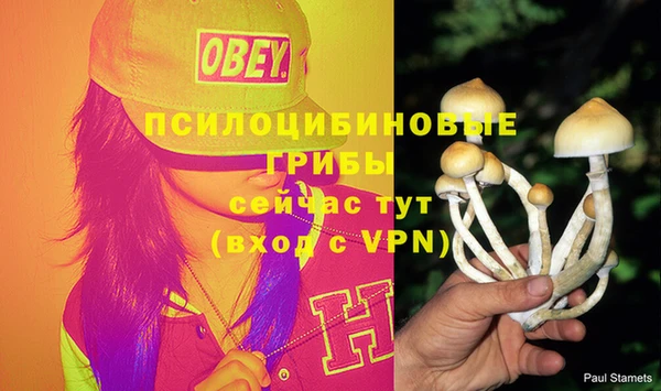 прущие крисы Пестово