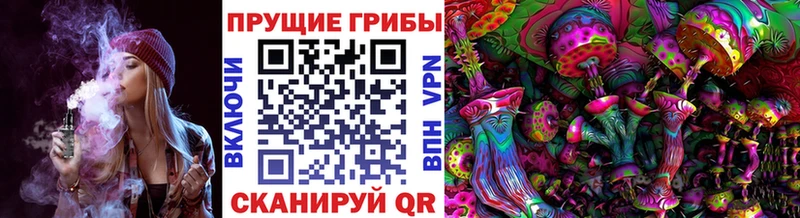 как найти закладки  Кашира  Псилоцибиновые грибы MAGIC MUSHROOMS 