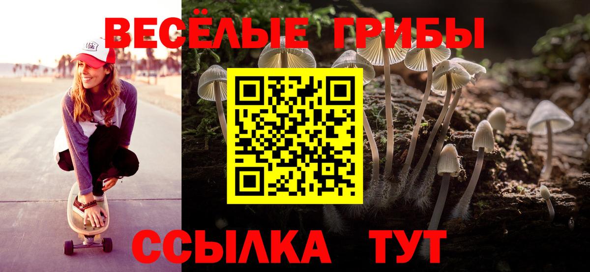 Галлюциногенные грибы GOLDEN TEACHER Кашира