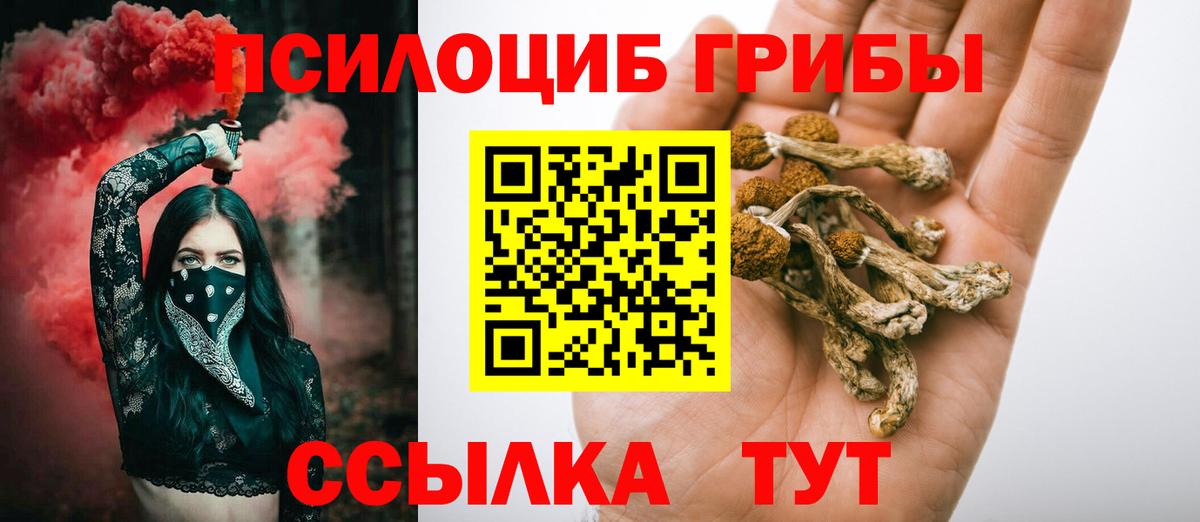 Кашира  Галлюциногенные грибы Psilocybine cubensis  Вход с VPN 