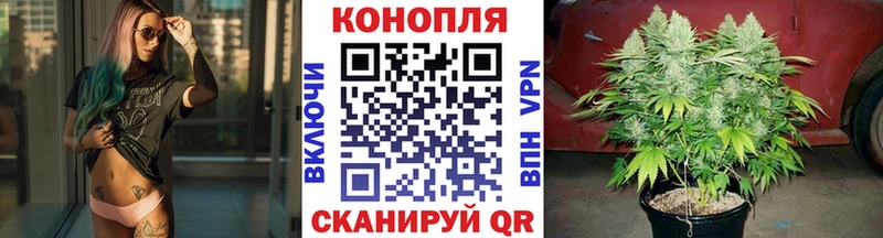 хочу   Кашира  Канабис сатива 