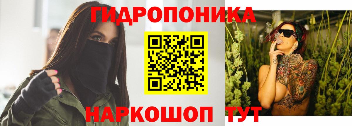 Бошки марихуана тримм  Марихуана планчик  МАРИХУАНА VHQ  Кашира  Вход с VPN  Конопля MAZAR 